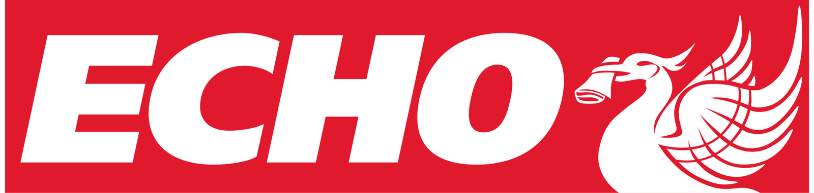 Liverpool Echo Logo